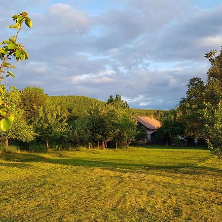 Tepke Guesthouse Garáb 외부 사진