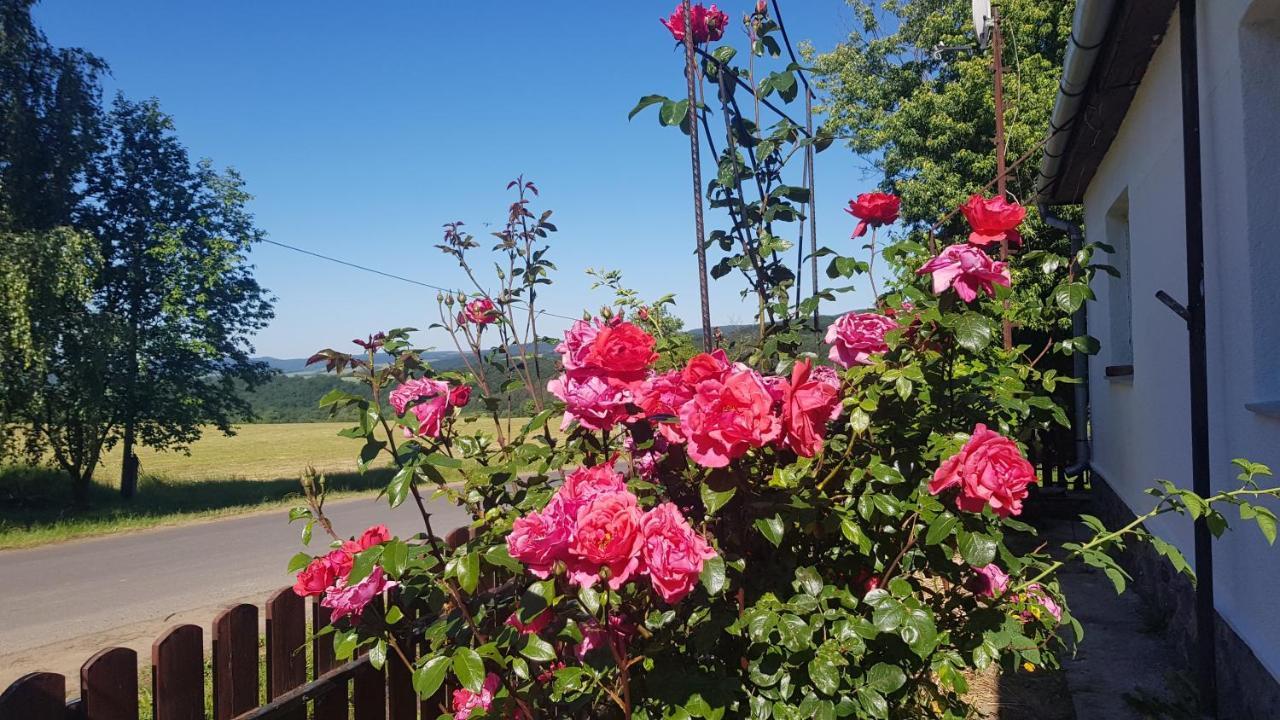Tepke Guesthouse Garáb 외부 사진